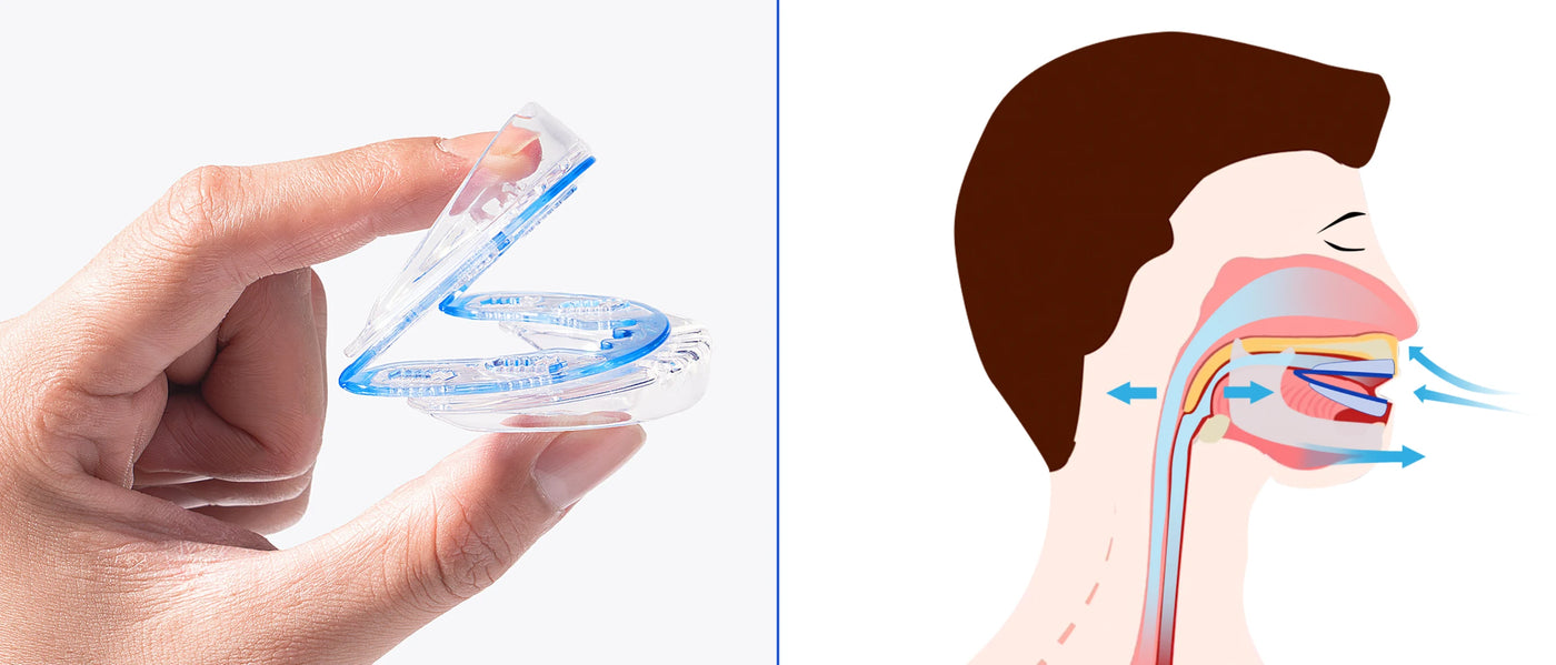 Upper Tray vs. Lower Tray Know the Difference